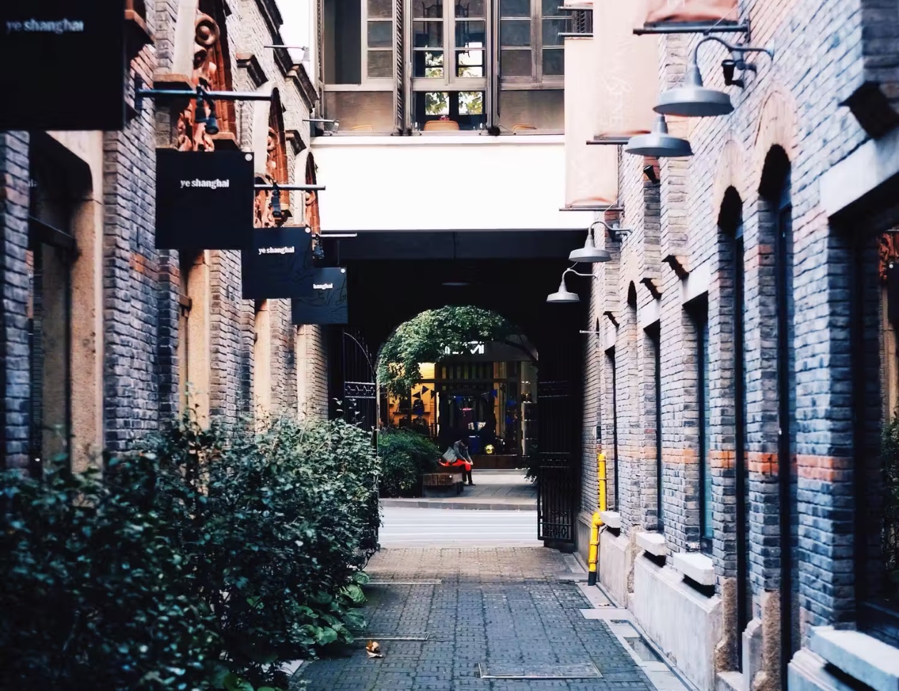 gallery 11